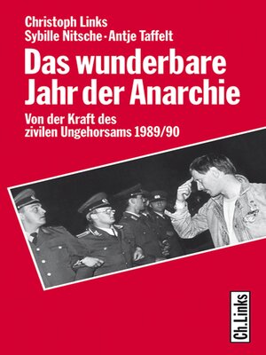 cover image of Das wunderbare Jahr der Anarchie